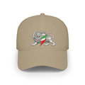 Lion Rampant Baseball Cap — Retro Iranian Flag Emblem Low-Profile Hat