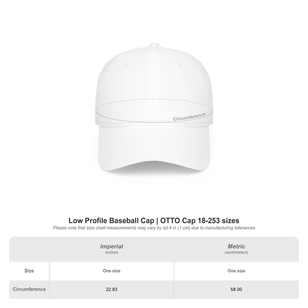 Lion Rampant Baseball Cap — Retro Iranian Flag Emblem Low-Profile Hat